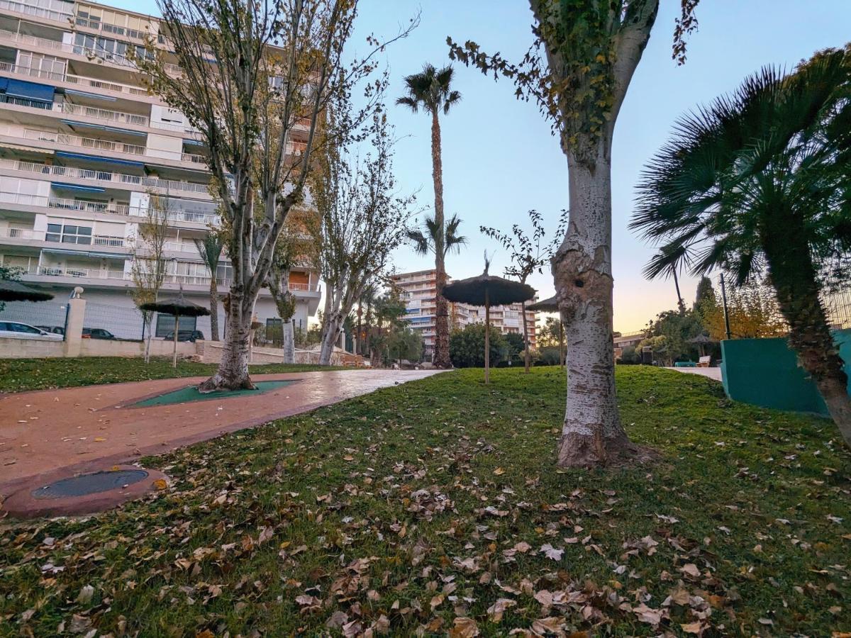 Bruselas 23 Alicante Dış mekan fotoğraf