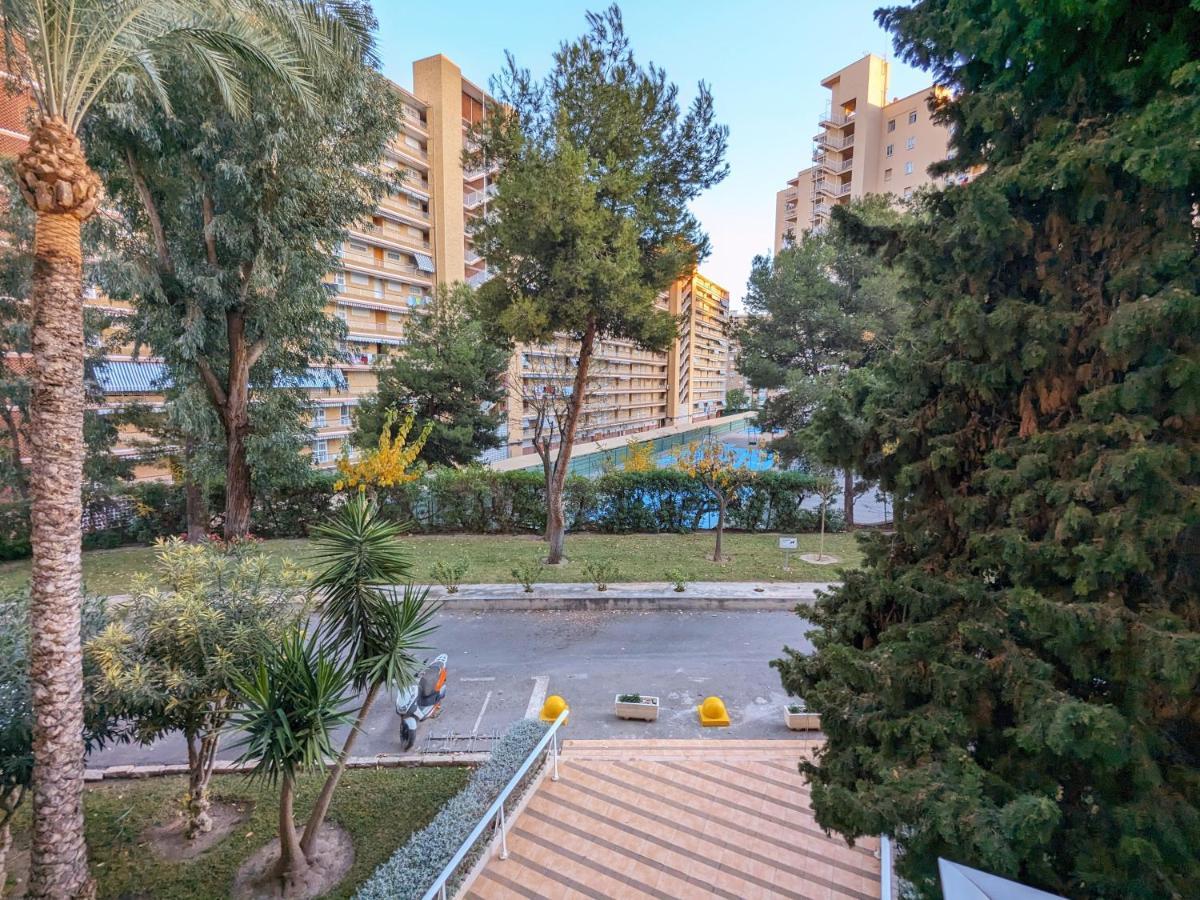 Bruselas 23 Alicante Dış mekan fotoğraf